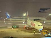 ANA搭乗便　ボーイング787