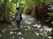 由布島で植物園探索