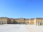 マリアテレジアイエローの外観