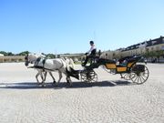 宮殿には馬車が似合う