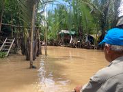 ジャングルの中を運河下り