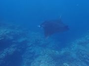 何とかちゃんと撮れてて良かった。😅