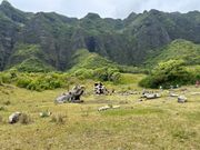 映画のロケスポットへもバギーで通過できました😃