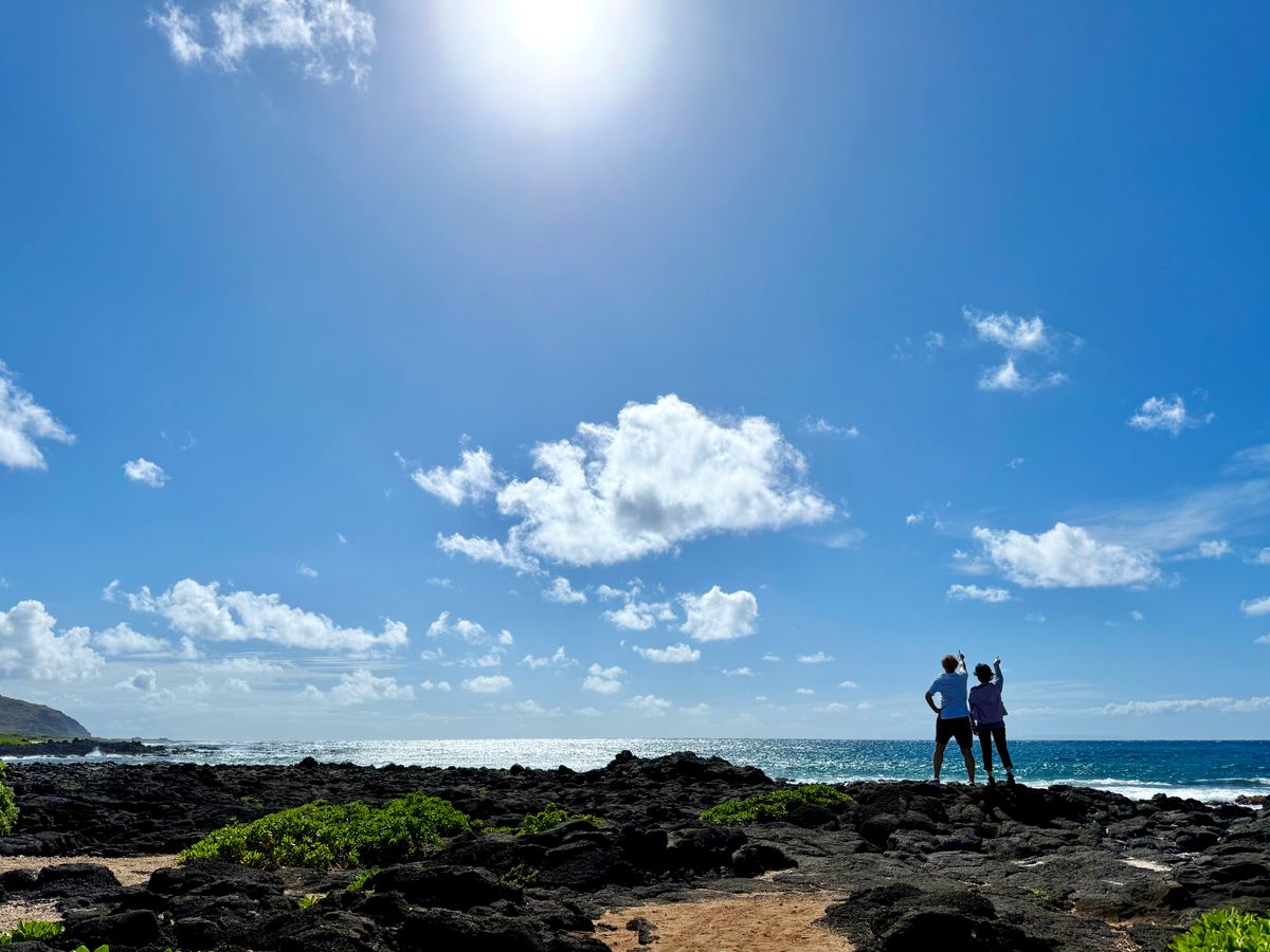 参加者のレビュー一覧) サンセットビーチ (観光情報) | ハワイの