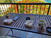 ツアーでいただいたBLTサンド