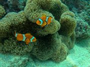 写真データ頂きました