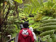 溶岩トンネルへ向かう途中