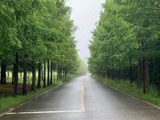 トッケビと死神2人が並んで、ウンタクを助けに来る場所