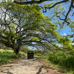All Reviews) Page 2) Kualoa Ranch Jurassic Valley Tours (Top