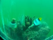 海中展望塔から