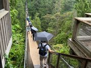 吊橋では小雨が降っていましたので空いていたかも？右側通行です。
