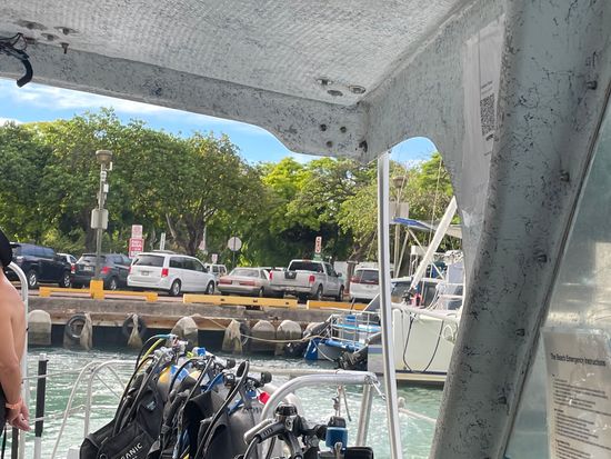 THPヨーヨー  ハワイ  ホノルル THPヨーヨー ハワイ ホノルル