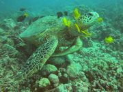 気持ち良さげ🥰