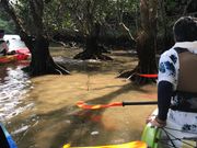 干潟でのハゼ探し