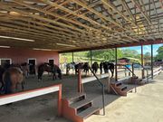 ここからスタート