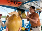 ココナツジュース