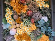 とみたファーム