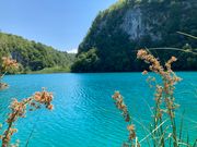 写真のままの美しさです！