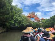 マングローブのクルーズ