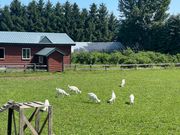 ドメーヌレゾン