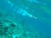 シュノーケリング