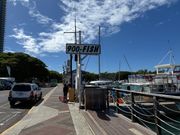 ウミガメ大学卒業しました