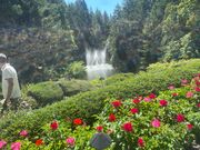 ブッチャートガーデン