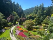 ブッチャートガーデン