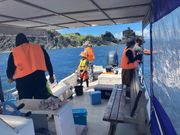 待ってる時間もワクワクが止まらない