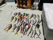 あっという間に時間が過ぎ
まだまだ釣れそうだけど、、、