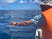 名残惜しいですが、、、
この辺で帰港