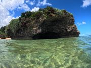 お魚も沢山いました