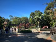 キュランダから鉄道への道