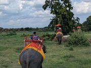 エレファント・ライド