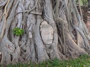 ワット・プラ・マハタート
神秘的な仏頭