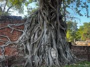 見たかったワット・プラ・マハタート