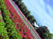 冨田ファーム　その1