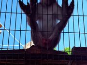 このポーズ、サイコー