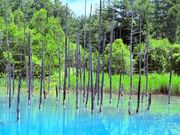 青い池。思った通りめちゃキレイやった