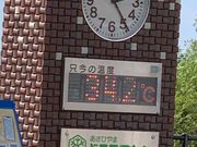 旭山動物園は34.2℃🥵