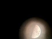 クレーターがよく見えました！