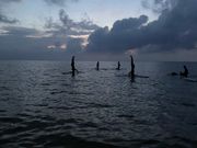 海上で三点倒立