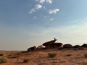 ホースシューベントを眺めてます