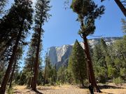 ヨセミテ国立公園