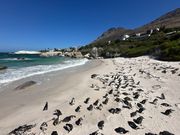 ボルダーズビーチ