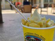 ドールプランテーション