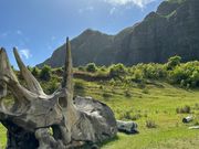 クアロア•ランチ