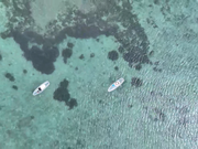 静かな海でサップ体験