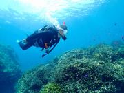 こんな写真を撮ってもらえます