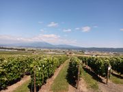 ドメーヌレゾン